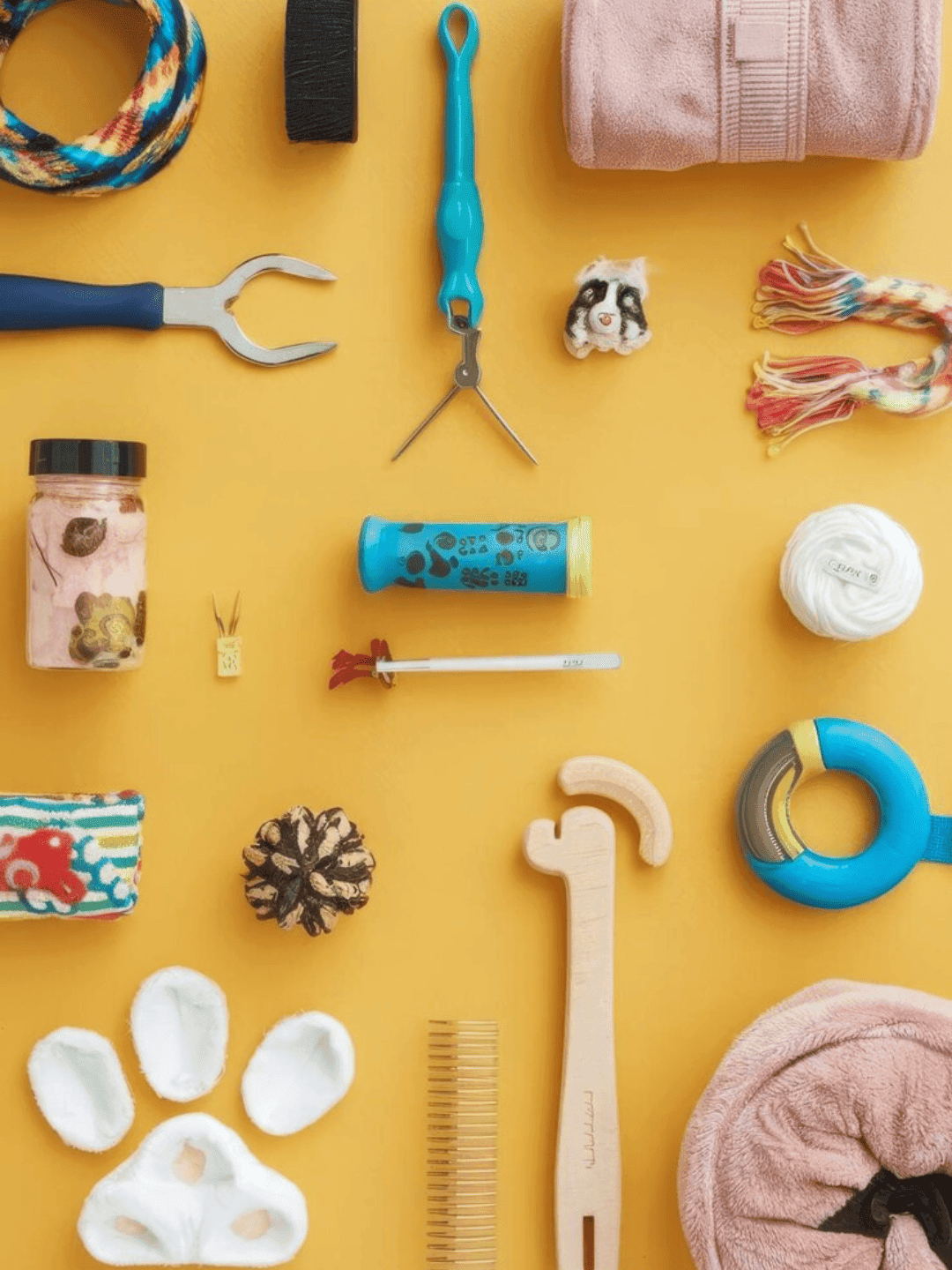 Top 10 acessórios que todo Shih Tzu precisa