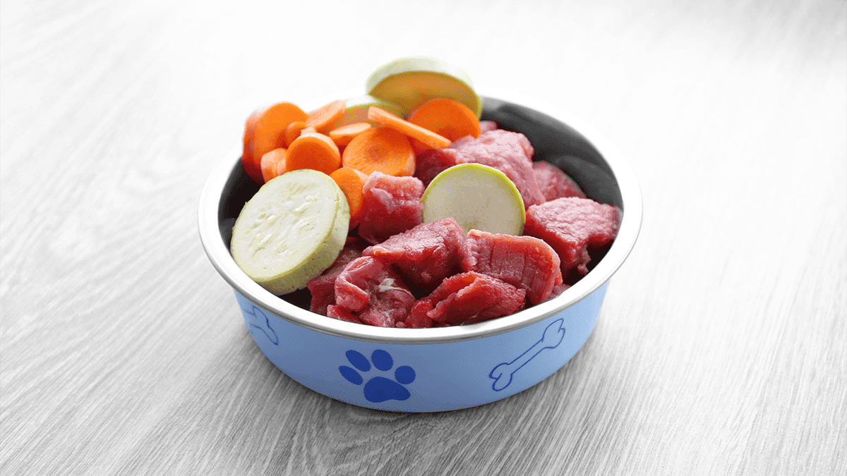 A alimentação BARF é segura para o Shih Tzu?