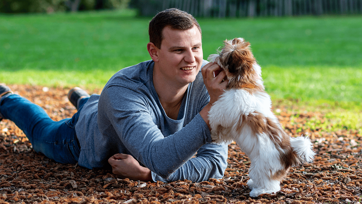 Como surgiu o nome Shih Tzu? Descubra a História!