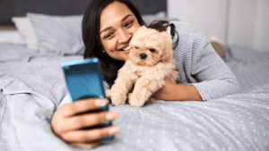 Fotos Incríveis do Seu Shih Tzu: Dicas de como Fazer!