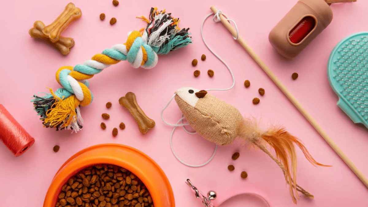 Itens Para Adestramento de Shih Tzu: Indispensáveis!