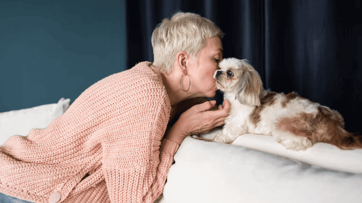 Sonhar com Shih Tzu! O que Será que Significa?