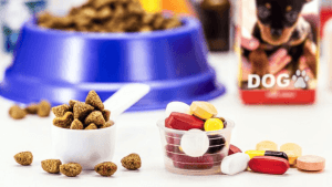 Suplementos para fortalecer pelos e pele do Shih Tzu: Veja!