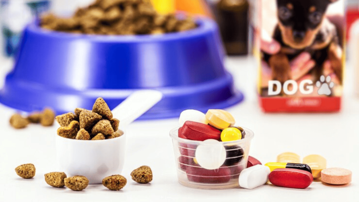 Suplementos para fortalecer pelos e pele do Shih Tzu: Veja!